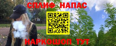 прущие грибы Туймазы