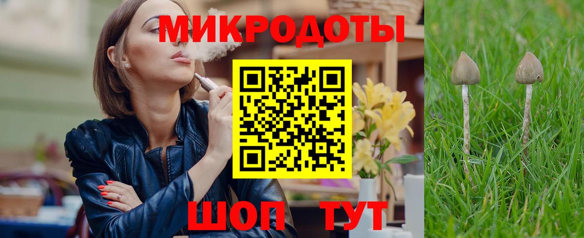 Галлюциногенные грибы Cubensis Минеральные Воды
